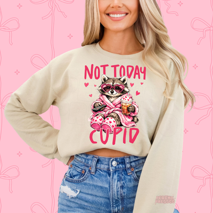 Not Today Cupid, Raccoon Sweatshirt | Funny Anti Love, Valentine’s Day Apparel