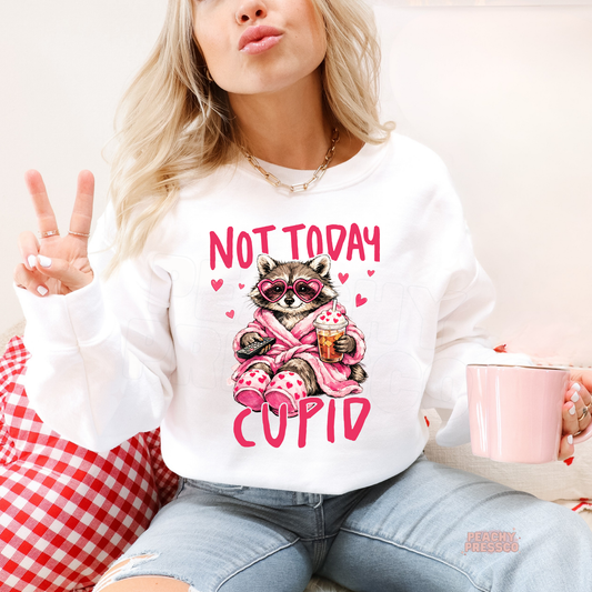 Not Today Cupid, Raccoon Sweatshirt | Funny Anti Love, Valentine’s Day Apparel