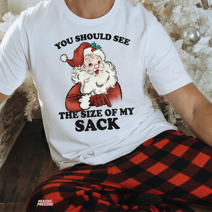 Funny Size Of My Sack, Santa Christmas Shirt – Naughty Holiday Humor, Men's Apparel