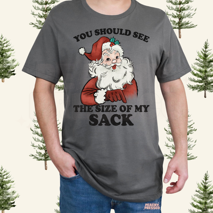 Funny Size Of My Sack, Santa Christmas Shirt – Naughty Holiday Humor, Men's Apparel