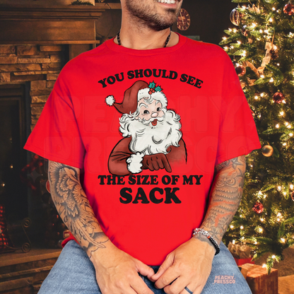 Funny Size Of My Sack, Santa Christmas Shirt – Naughty Holiday Humor, Men's Apparel