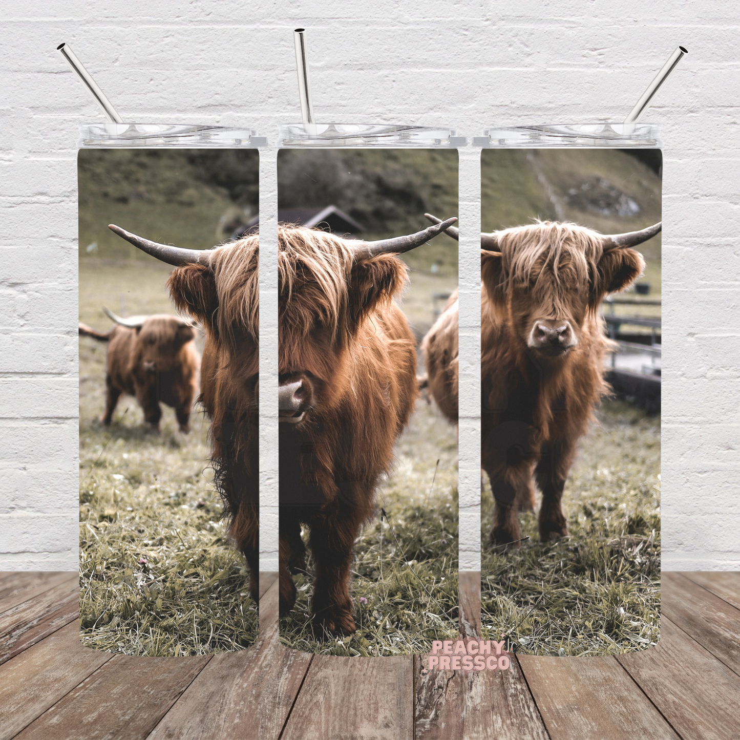 Rustic Highland cattle grazing in a pasture on a farmhouse-inspired full wrap 20oz skinny tumbler.