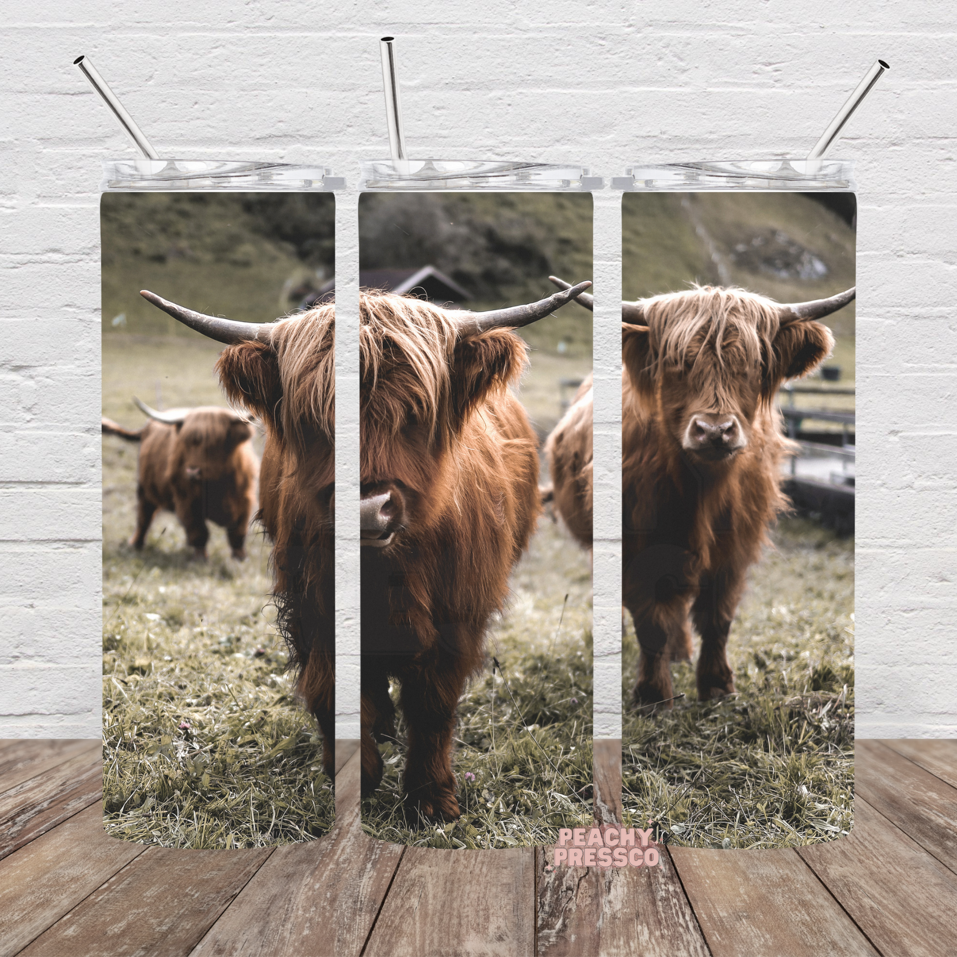 Rustic Highland cattle grazing in a pasture on a farmhouse-inspired full wrap 20oz skinny tumbler.
