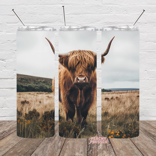 Highland cow walking through a golden meadow on a full wrap 20oz skinny tumbler with countryside landscape and soft neutral tones.